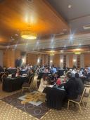 Picture of the author